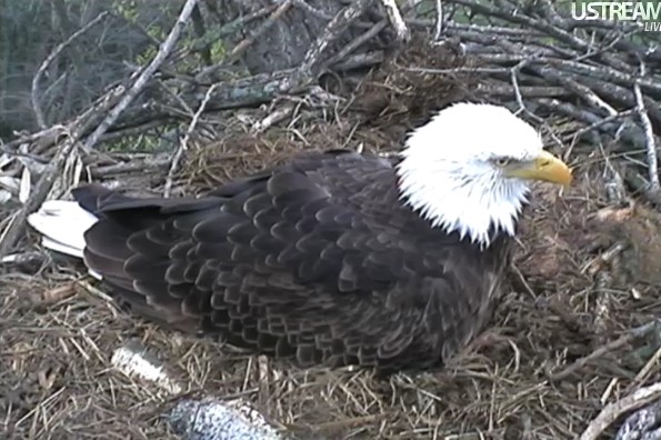 ScreenHunter_03 Mar. 31 11.19.jpg